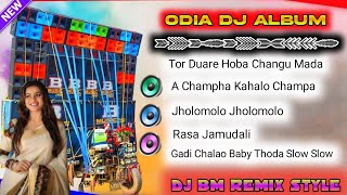 Odia Dance Mix||🎧🎚️2024 Pop Bass Style Humming Bass || Dj Bm Remix Style