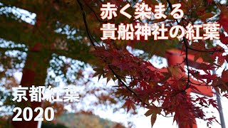 赤く染まる貴船神社の紅葉