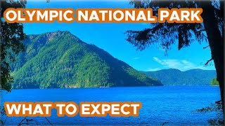 Things to do in Olympic National Park (What to expect + Where to Stay & Self Q&A)