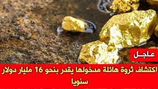 اكتشاف ثروة هائلة مدخولها يقدر بنحو 16 مليار دولار سنويا