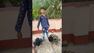 সবাইয়ের সাথে কিছু না কিছু মিল আছে 🤣🤣🤣#trending #viral #shorts #funnyvideo