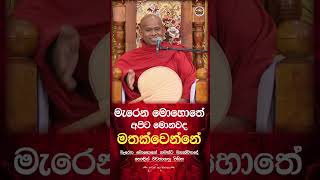 මැරෙන මොහොතේ අපිට මතක්වෙන දේ කොහොමද දැනගන්නේ? 🤔🍃 Venerable Welimada Saddaseela Thero