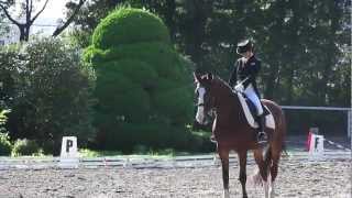 馬事公苑　馬術大会　　Horsemanship convention.