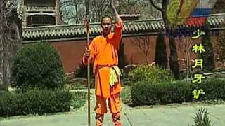 Shaolin 2010