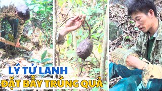 Đào Măng, Đan Lồng Cá, Đặt Bẫy Chuột, Lý Tử Lanh Trúng Quả Lớn