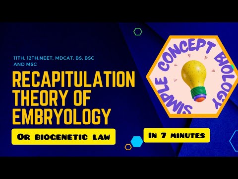 Recapitulation Theory Of Embryology /evolution || Biogenetic Law ...