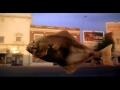 Arizona Dream- Iggy Pop- In The Death Car -  Metin Köksal Videolar