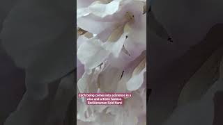 Paulownia kawakamii #nature #animals #travelvlog #amazing #viral #reels