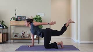 Aula de yoga para inciantes. Venha praticar!