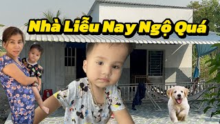 Hôm Nay Nhà Liễu Có Quà Khủng Là Cái Gì Vậy