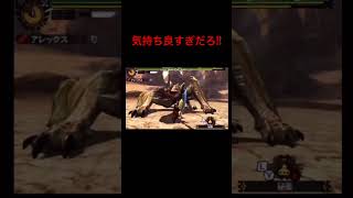 【MH4G】大剣を使ってて一番気持ち良い瞬間!!