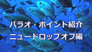 パラオのダイビングポイント紹介_ ニュードロップオフ編