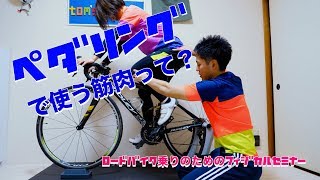 ペダリングで使う筋肉って？？【ロードバイク乗りのためのフィジカルセミナー】