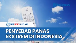 Cuaca Panas Ekstrem Landa Indonesia Akhir-akhir Ini, BMKG Ungkap Penyebabnya