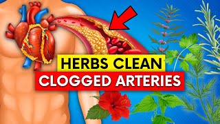 Top 10 Herbs to Clean Your Clogged Arteries that Can Prevent a Heart Attack
