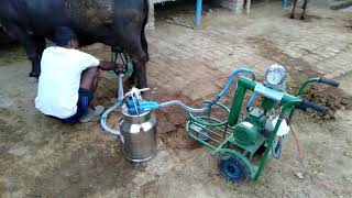 0.5 Hp ONE BUCKET TROLLEY MILKING MACHINE,