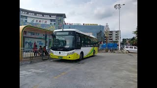 Public Transport in Guangzhou：Route 64（Zengcheng）Gualyu Square East to Yongning Bus Terminal