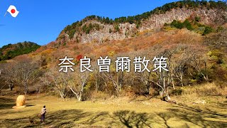 【屏風岩公苑】わんこと行く奈良曽爾散策　a trip to walk with the dog　Byobuiwa Koen  soni-nara-japan