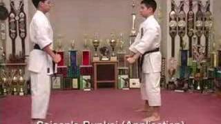 Isshinryu Karate and Kobudo DVD Series