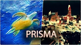 Camera.tinhte.vn - Hướng dẫn tạo ảnh sơn dầu nghệ thuật bằng ứng dụng Prisma