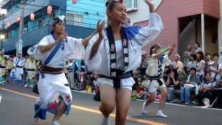 2013 東林間阿波踊り＜飛鳥連・ほたる連・新橋、とんぼ連・江戸っ子連＞