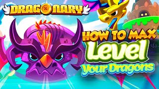 HOW TO MAX LEVEL Your dragon FAST HOW TO PLAY DRAGONARY FULL WALKTHROUGH FOR BEGINNERS High Win Rate