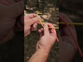 This Knot Changes Everything #bushcraft #survival #camping #knot #rope