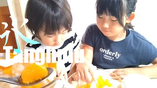 氷水でパリパリ！話題の氷タンフル作ってみた！