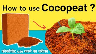 How to use cocopeat ? कोकोपीट use करने का तरीका