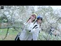 桃園 復興 角板山行館賞梅花，冬季雪白美景 feat. 沐妍＆小帆