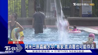 染食腦變形蟲死亡! 醫師曝關鍵在「人」非水質｜TVBS新聞 @TVBSNEWS01