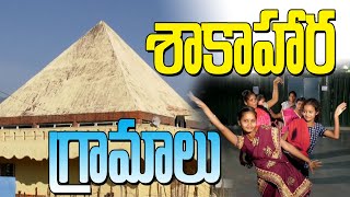 MDMC-2 || శాకాహార గ్రామాలు   || Prakruthi Valley (Aaraku) || Pssm Projects || PMC