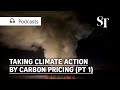 Taking climate action by putting a price on carbon | Green Pulse