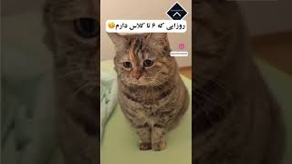 روزای که شیش تا کلاس دارم🥲😭