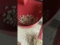 PEANUT BLENCHAR MACHINE