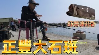 【片尾開獎手工竿】今年大班第一釣！正豐大石斑，沒貓就滿足了......