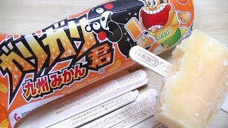 【通算〇〇本！？】ガリガリ君の当たりが溜まってきたのでどうしようかという話 Gari Gari kun