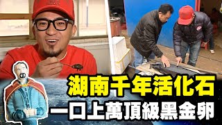 【中國】湖南千年活化石鱘龍魚 一口要價上萬頂級黑金卵｜《世界第一等》288集濃縮精華版