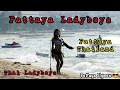 Pattaya Ladyboys, Thai Ladyboys, Pattaya Thailand