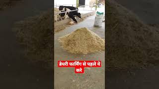 इसलिए होते है डेयरी फार्म फेल #dairyfarm