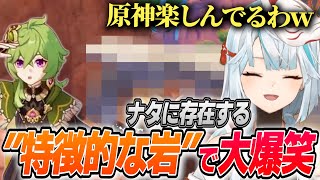 【原神】Xで話題のナタにある”特徴的な岩”で大爆笑するねるめろ【ねるめろ/切り抜き】