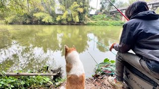 兩個單身狗去釣魚，釣點鯽魚整兩個菜，舒服了！ 【野釣長空】