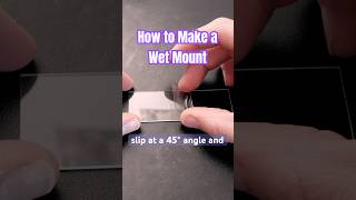 How to make a wet mount in 60 seconds. #biology #science #microscope
