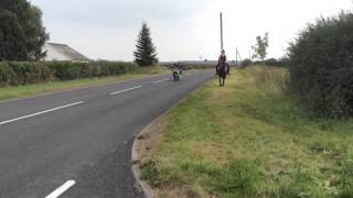 Rodney doesn't mind very fast motorbikes