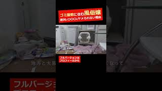 【広瀬ア〇ス激似】ゴミ屋敷に住む風俗嬢『絶対に〇〇〇をヤメられない理由』vol.5｜片付け #ゴミ屋敷 #清掃 #片付け