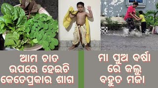 Parenting | How Kids Will Do Puja | ଚାତ ଉପରେ କେତେ ଶାଗ | ଆଜି ବର୍ଷା କଲୁ ବହୁତ ମଜା |