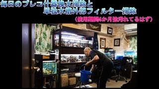 毎日のプレコ什器換水掃除と単独水槽外部フィルター（4か月使用フィルター）の掃除映像