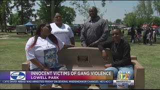 Memorial bench dedicated to remembering innocent victims of gang violence