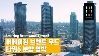 어메이징 브렌트 우드 타워5 주변 둘러보세요 |  Amazing Brentwood Tower5 Coming Soon! | 에밀리오 부동산