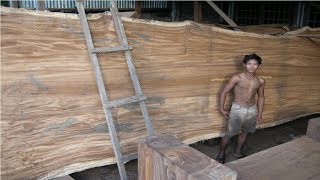 Amazing Dangerous Biggest Wood Sawmill Machine - Extreme Fastest Woodworking Chainsaw Equipment